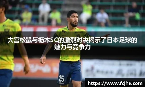 低调看球