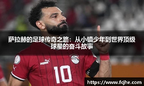 低调看直播